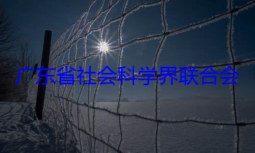 专职副主会党组成员席余鸿纯被广东省社会查科学界联合